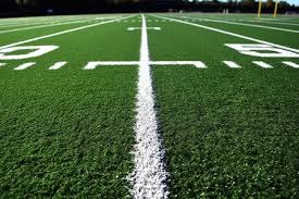 法国男篮新核心展现天赋